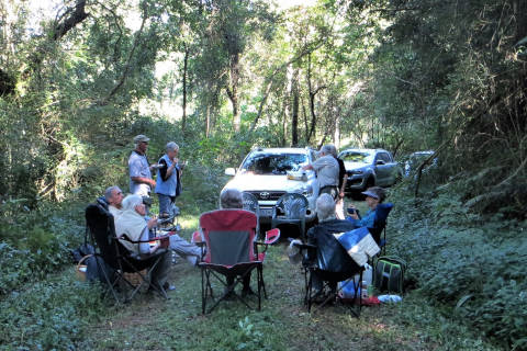 Camping Closeup